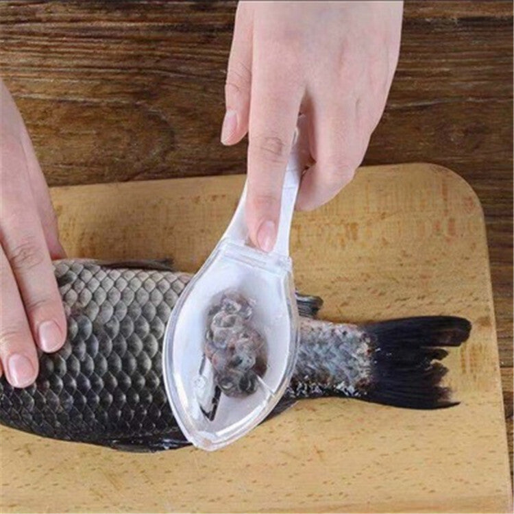 Manual Fish Scale Scraper with Lid
